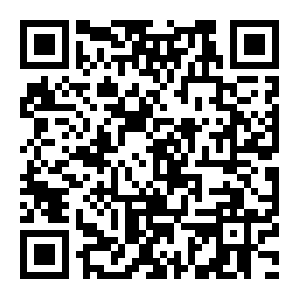 QR-код программы лояльности Имба Лава